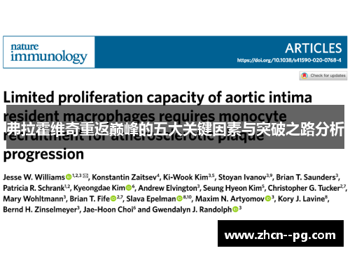 弗拉霍维奇重返巅峰的五大关键因素与突破之路分析