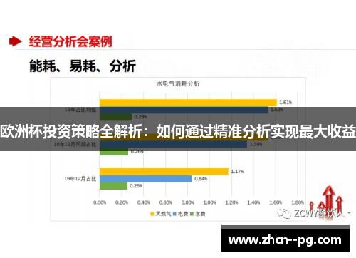 欧洲杯投资策略全解析：如何通过精准分析实现最大收益