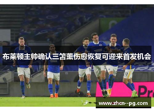 布莱顿主帅确认三笘薰伤愈恢复可迎来首发机会 布莱顿主帅确认三笘薰伤愈恢复可迎来首发机会