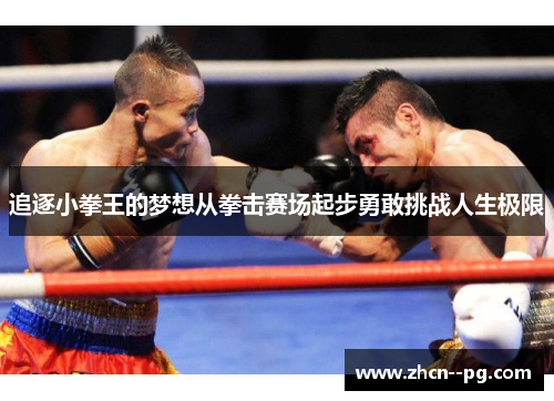 追逐小拳王的梦想从拳击赛场起步勇敢挑战人生极限